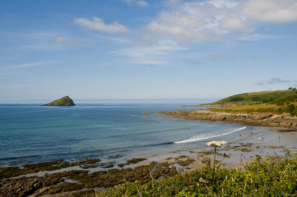 Churchwood Valley Wembury