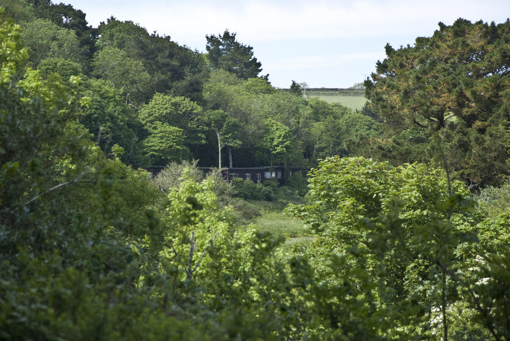 Churchwood Valley