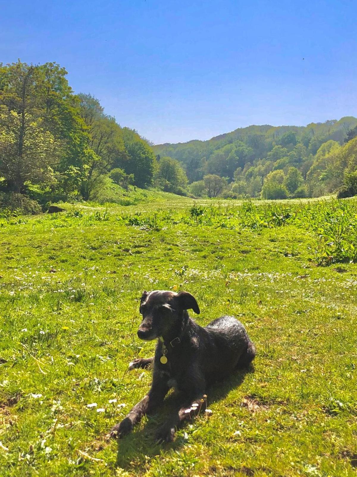 Churchwood Valley База отдыха