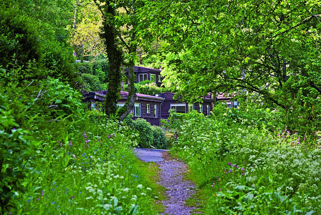 База отдыха Churchwood Valley Wembury