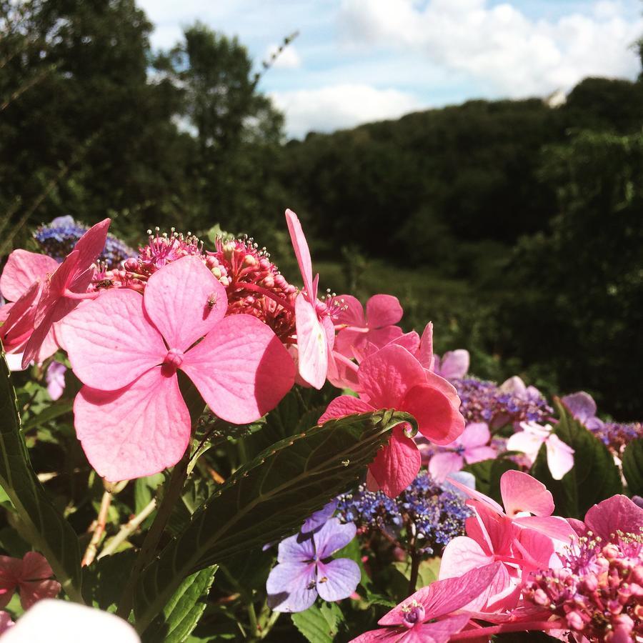 Churchwood Valley 4* Wembury